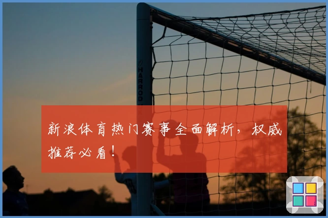 新浪体育热门赛事全面解析，权威推荐必看！