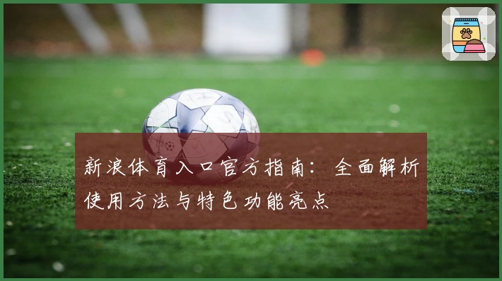 新浪体育入口官方指南：全面解析使用方法与特色功能亮点