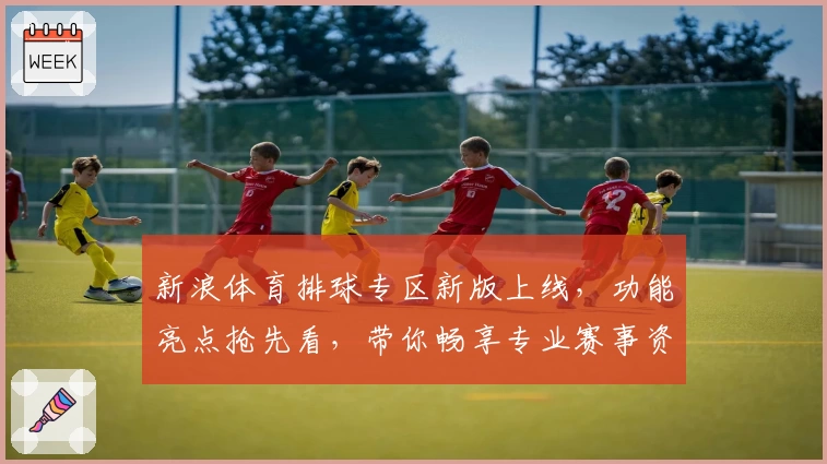 新浪体育排球专区新版上线，功能亮点抢先看，带你畅享专业赛事资讯