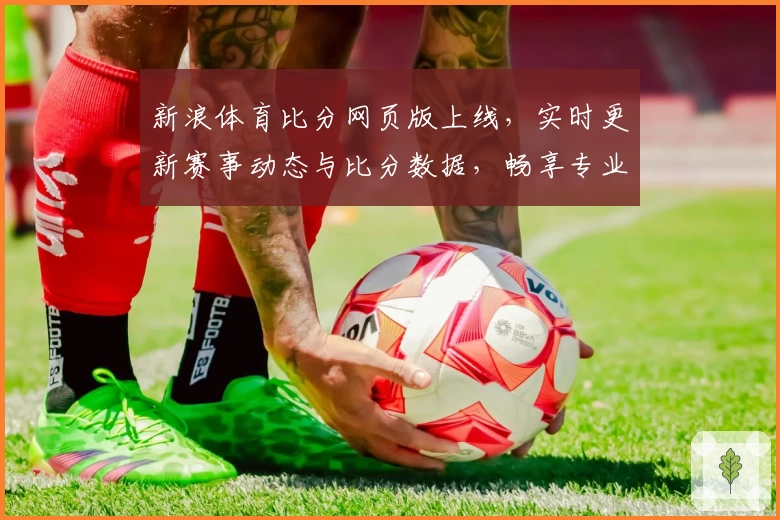 新浪体育比分网页版上线，实时更新赛事动态与比分数据，畅享专业体育资讯新体验