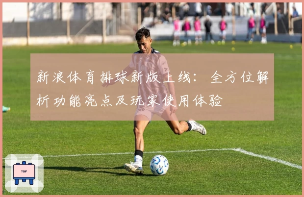 新浪体育排球新版上线：全方位解析功能亮点及玩家使用体验