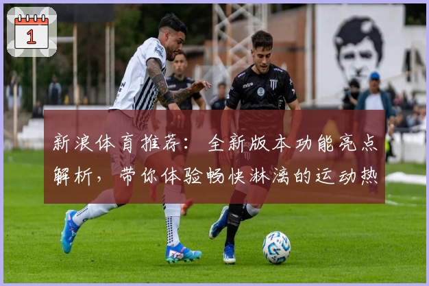 新浪体育推荐：全新版本功能亮点解析，带你体验畅快淋漓的运动热潮