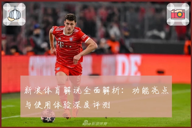 新浪体育解说全面解析：功能亮点与使用体验深度评测