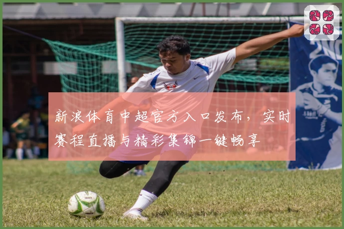 新浪体育中超官方入口发布，实时赛程直播与精彩集锦一键畅享