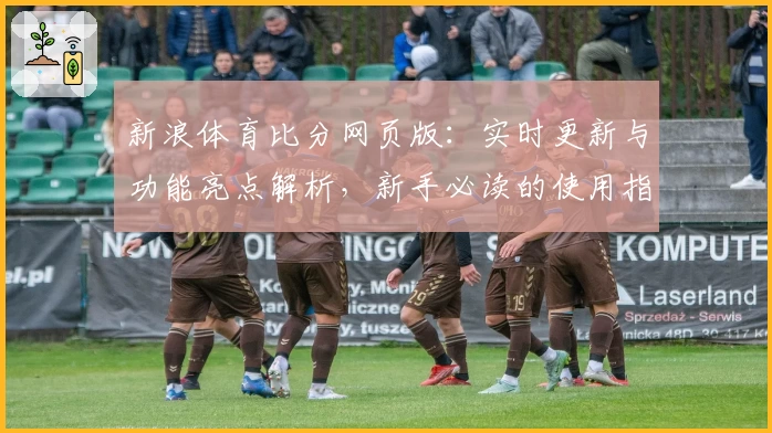 新浪体育比分网页版：实时更新与功能亮点解析，新手必读的使用指南