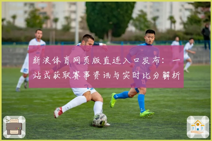 新浪体育网页版直连入口发布：一站式获取赛事资讯与实时比分解析