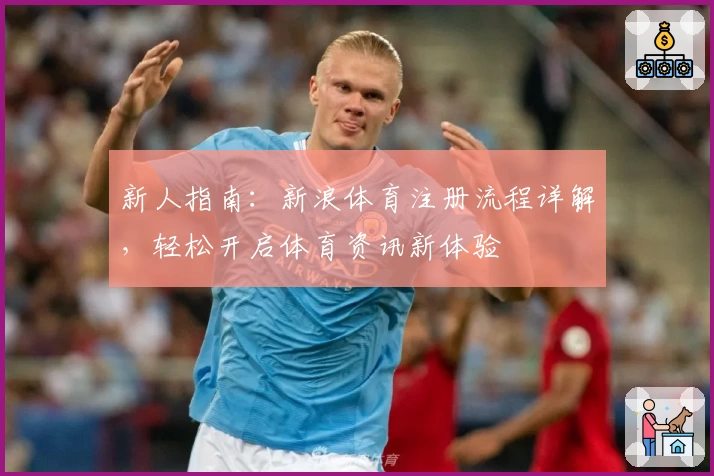新人指南:新浪体育注册流程详解,轻松开启体育资讯新体验
