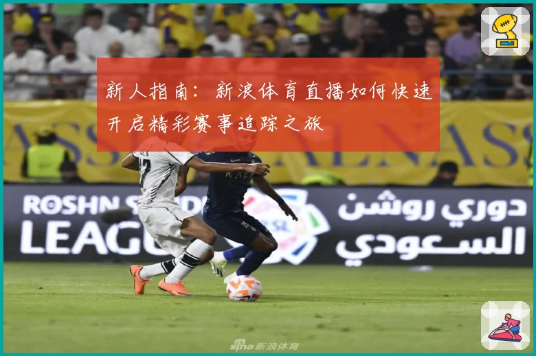 新人指南：新浪体育直播如何快速开启精彩赛事追踪之旅