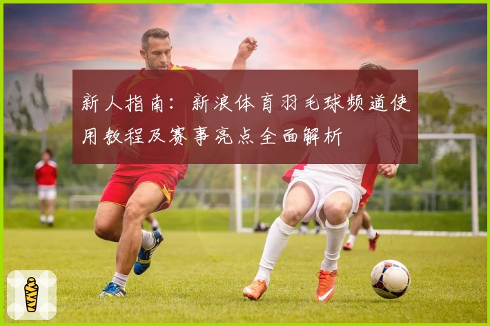 新人指南：新浪体育羽毛球频道使用教程及赛事亮点全面解析