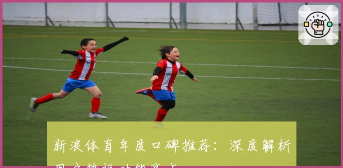 新浪体育年度口碑推荐：深度解析用户热评功能亮点
